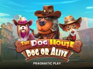 The Dog House – Dog or Alive screenshot